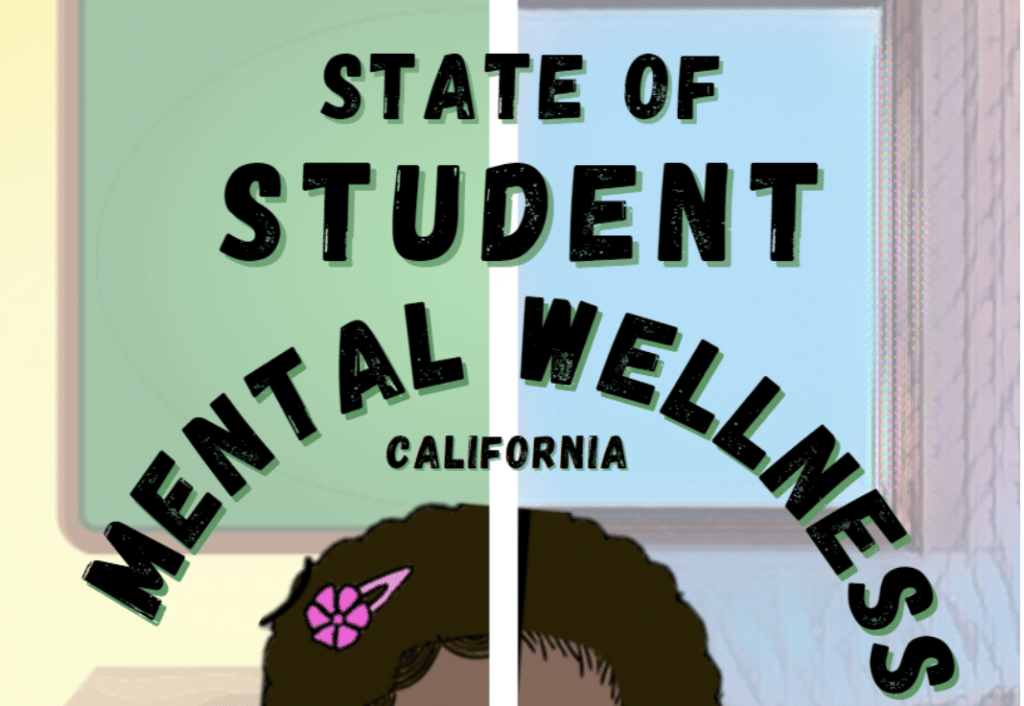 Screenshot of State of Student Mental Wellness pdf